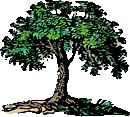 African Trees Clipart